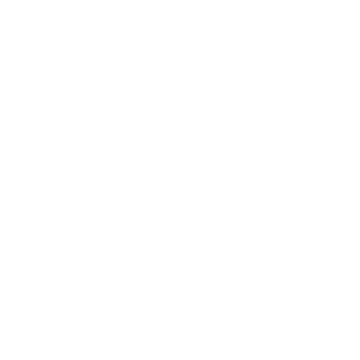 NSDPA Logo